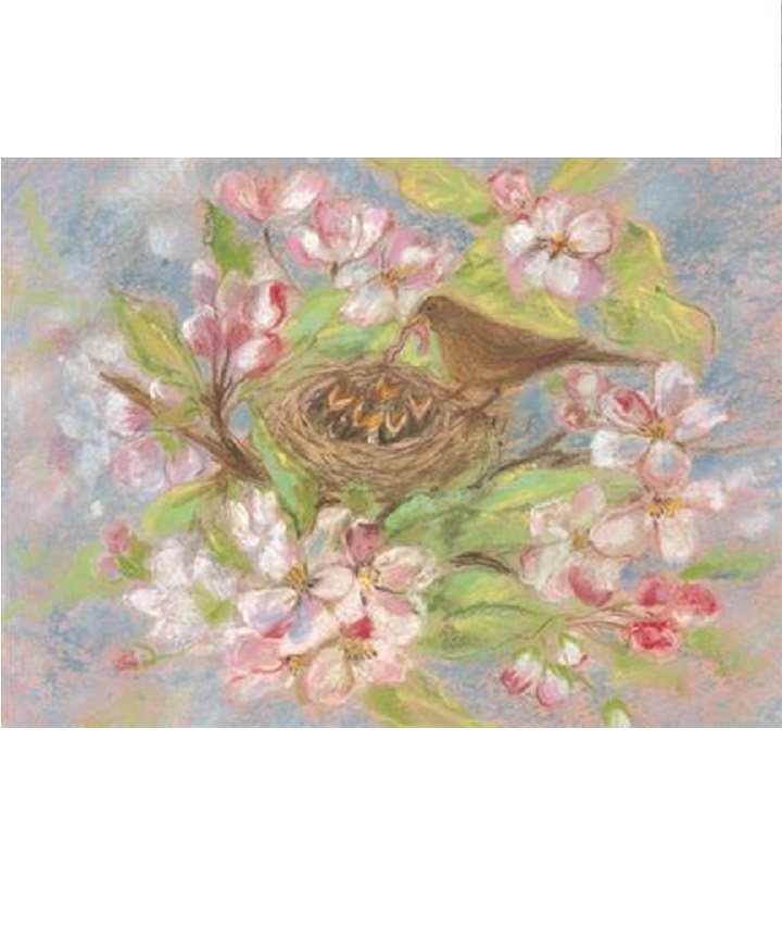 Gniazdko na jabłoni